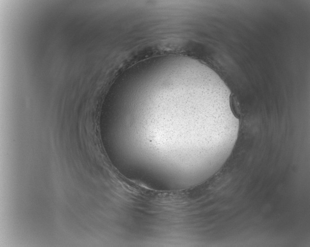 X0000052550817200507152157