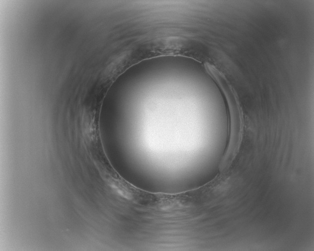 X0000052550818200507152157