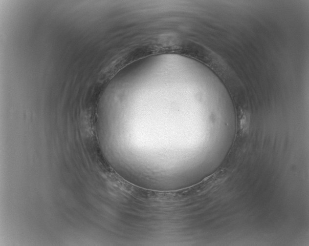 X0000052550819200507152157