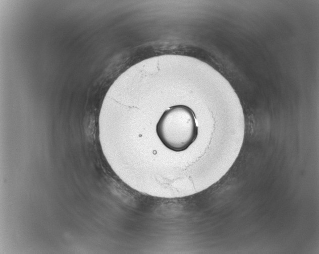 X0000052550820200507152157