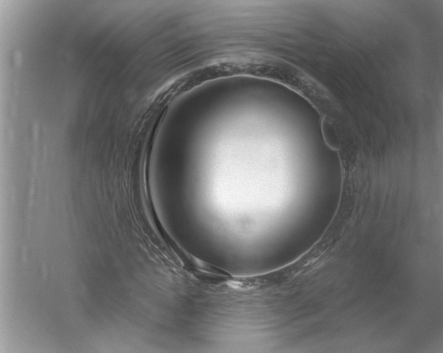 X0000052550822200507152157