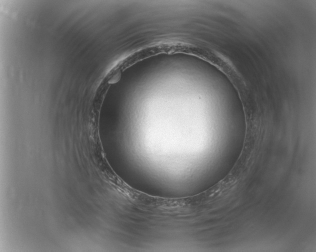 X0000052550823200507152157