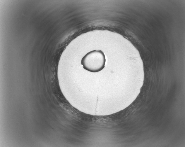 X0000052550824200507152157