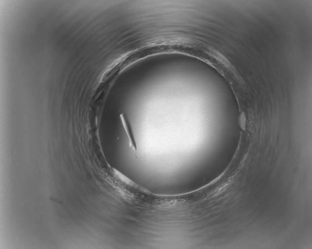 X0000052550826200507152157