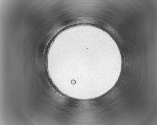 X0000052550828200507152157