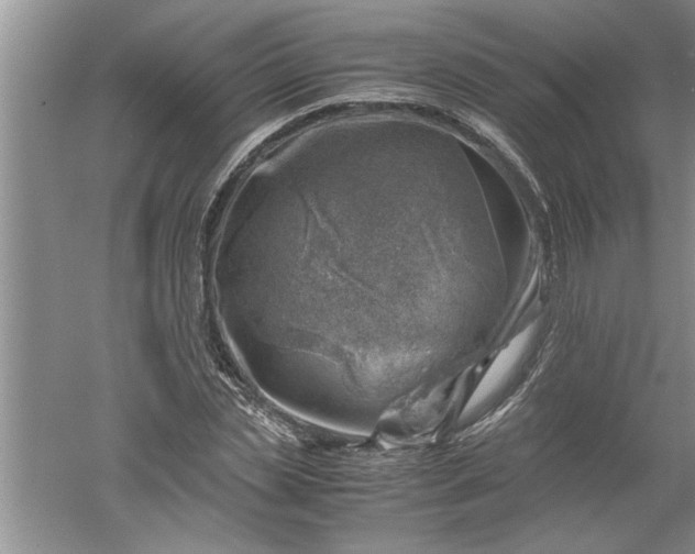 X0000052550829200507152157