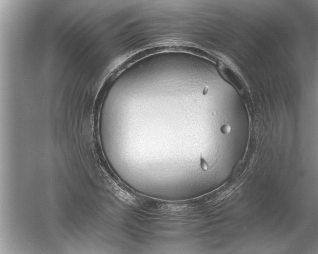 X0000052550831200507152157