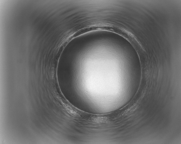 X0000052550833200507152157