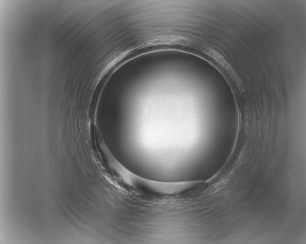 X0000052550834200507152157