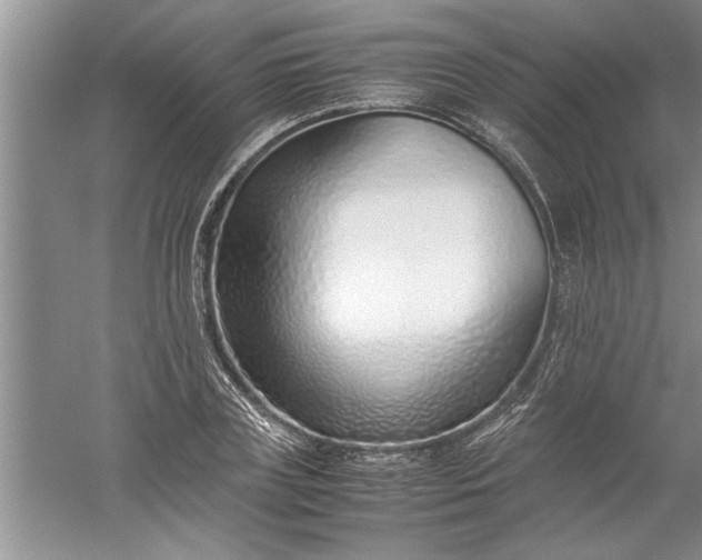 X0000052550835200507152157