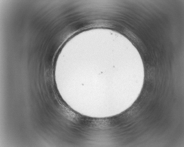 X0000052550836200507152157