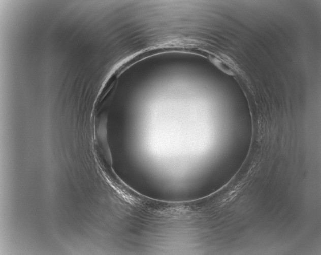 X0000052550838200507152157