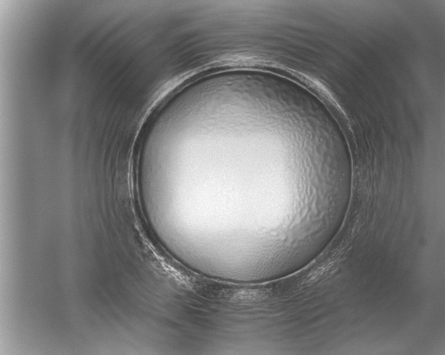 X0000052550839200507152157