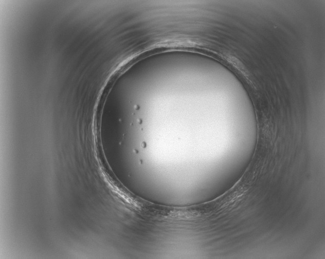 X0000052550840200507152157