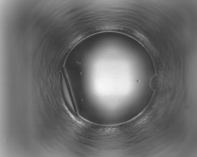 X0000052550841200507152157