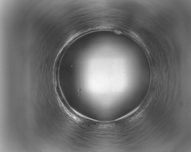 X0000052550843200507152157