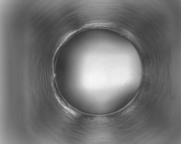 X0000052550844200507152157