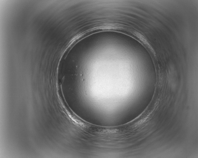 X0000052550845200507152157