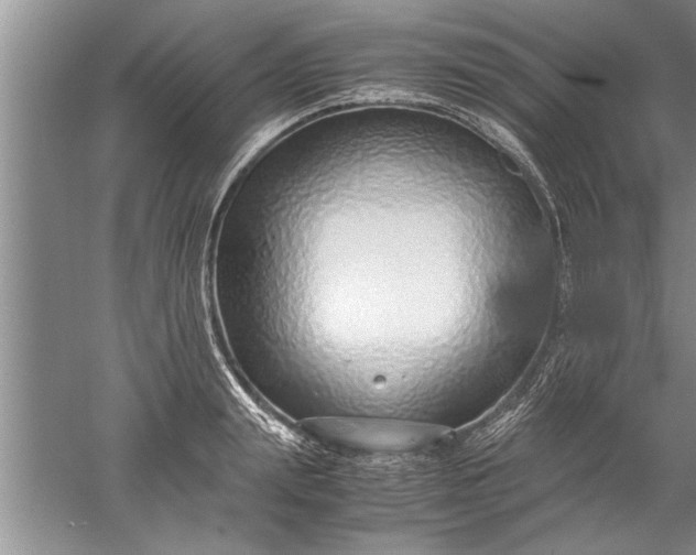 X0000052550847200507152157