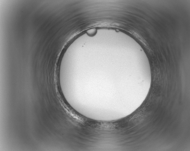 X0000052550848200507152158