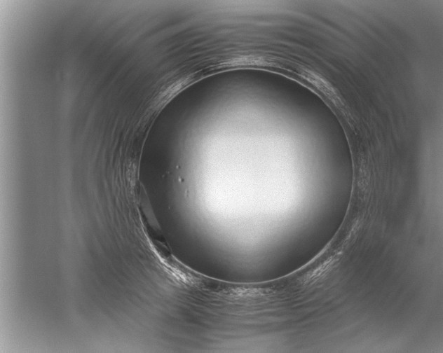 X0000052550849200507152158