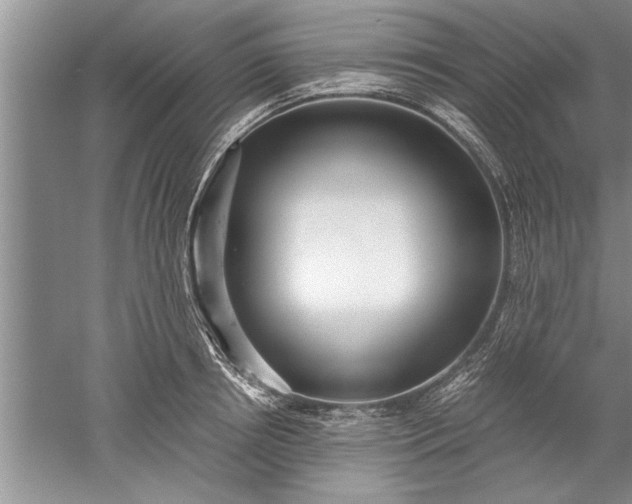 X0000052550850200507152158