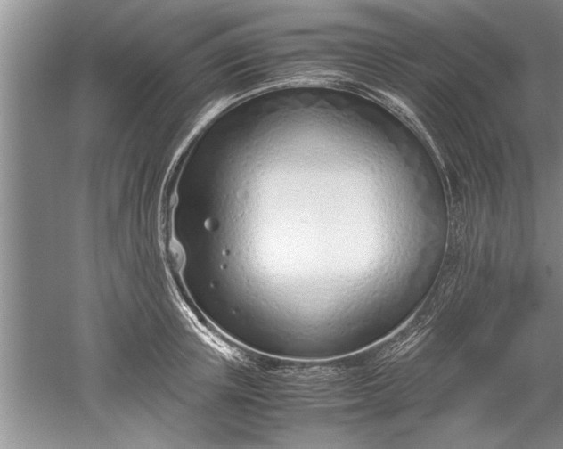 X0000052550851200507152158