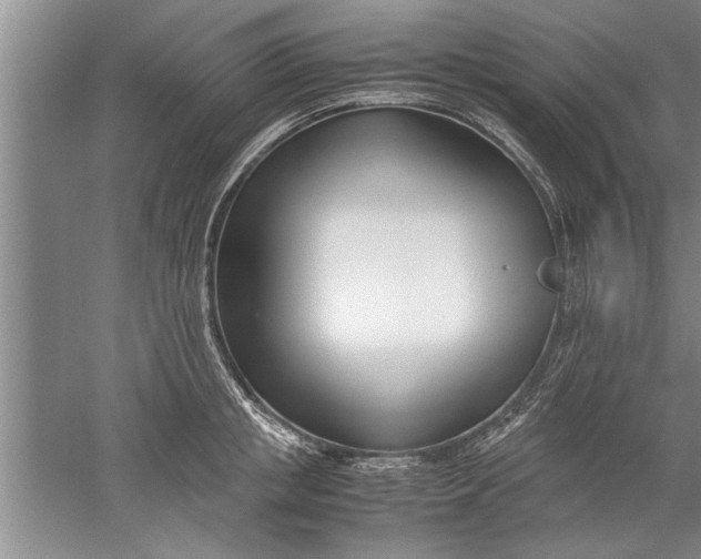 X0000052550853200507152158