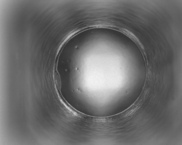 X0000052550855200507152158