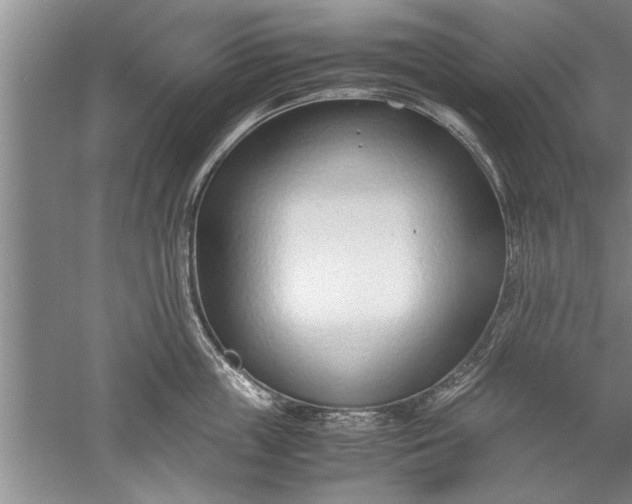 X0000052550859200507152158