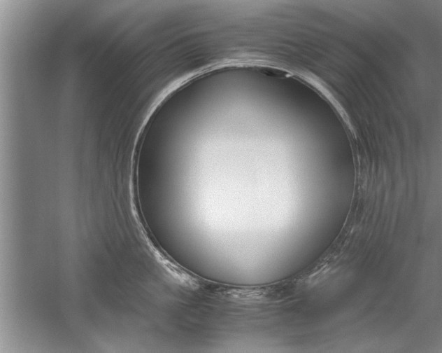 X0000052550861200507152158