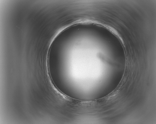 X0000052550863200507152158