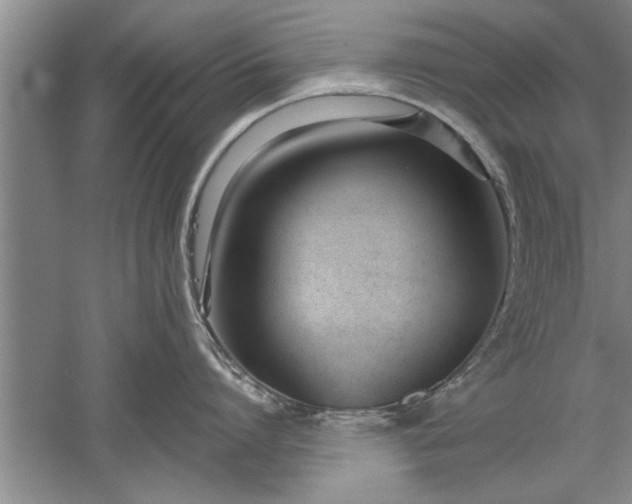 X0000052550864200507152158