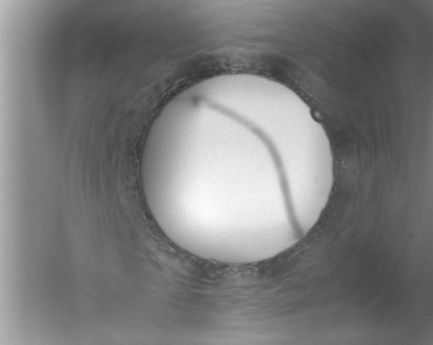 X0000052550865200507152157