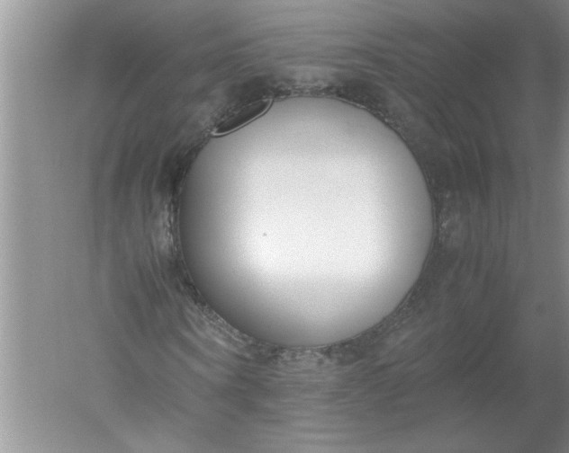 X0000052550866200507152157