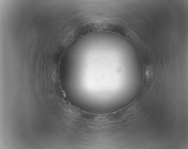 X0000052550867200507152157