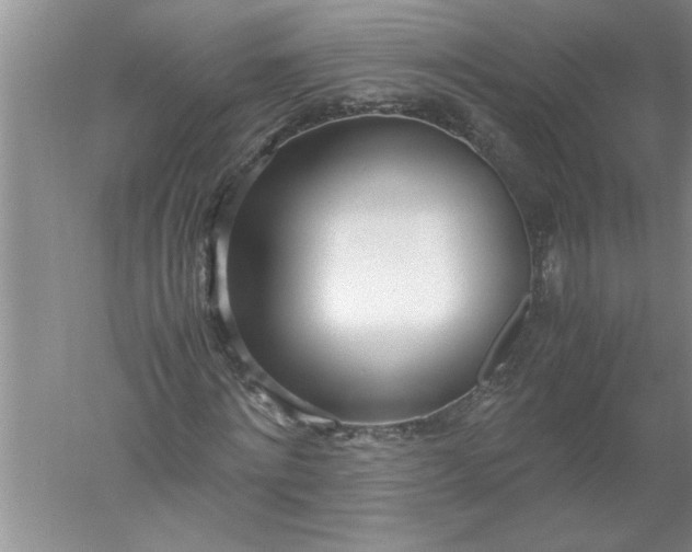 X0000052550868200507152157