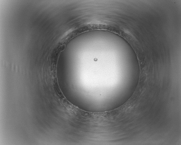 X0000052550870200507152157