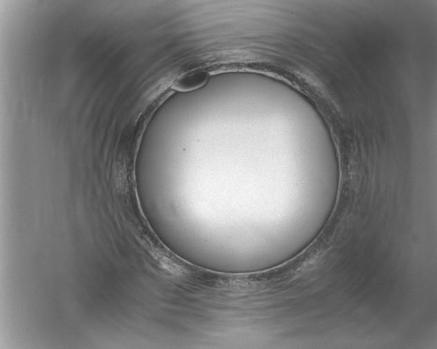 X0000052550873200507152157