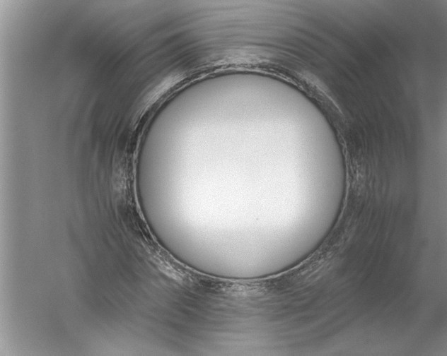 X0000052550874200507152157