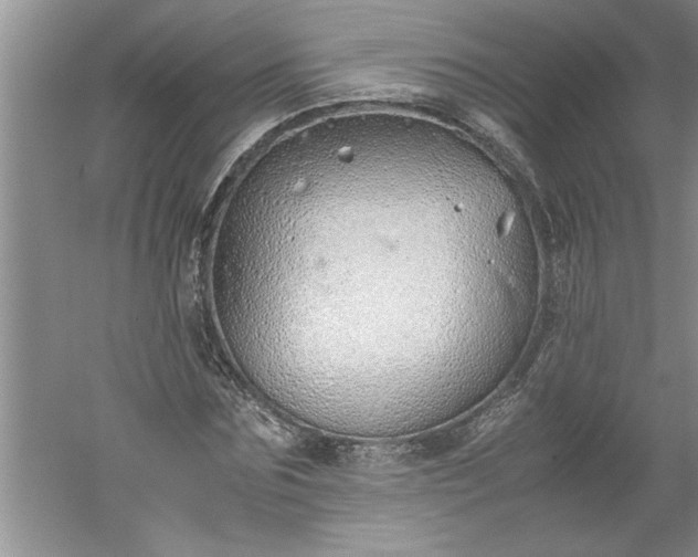 X0000052550875200507152157