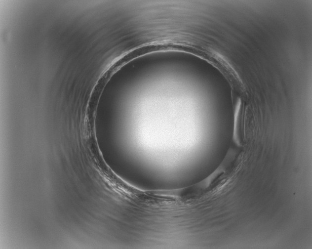 X0000052550876200507152157