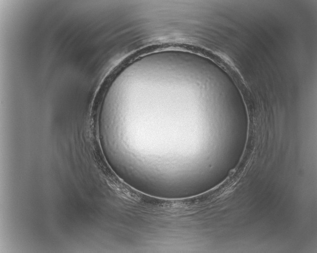 X0000052550879200507152157