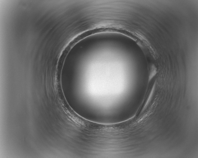 X0000052550880200507152157