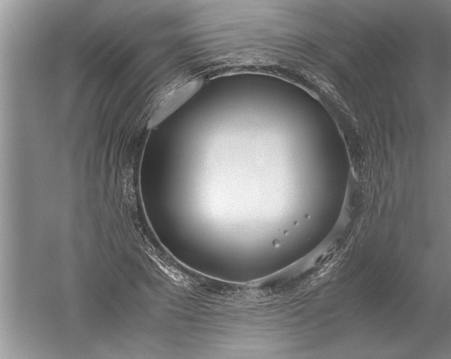 X0000052550881200507152157