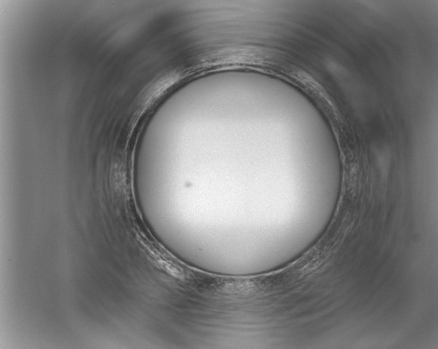 X0000052550882200507152157