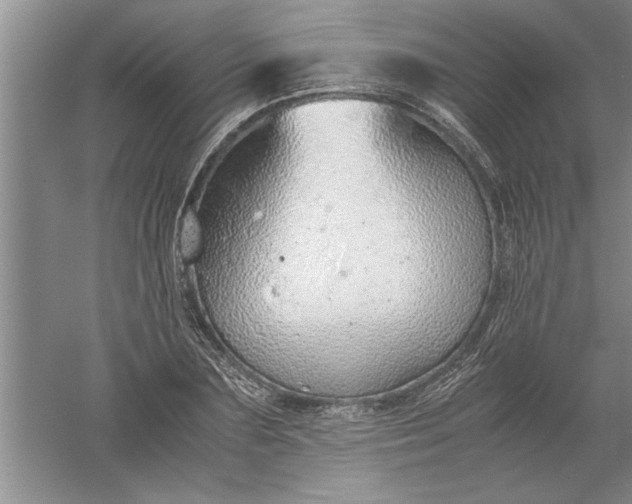 X0000052550883200507152157