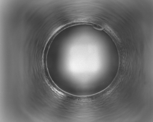 X0000052550884200507152157