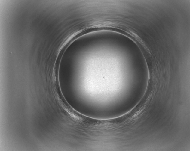 X0000052550885200507152157