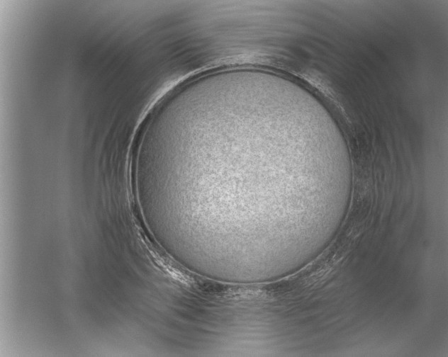 X0000052550886200507152157